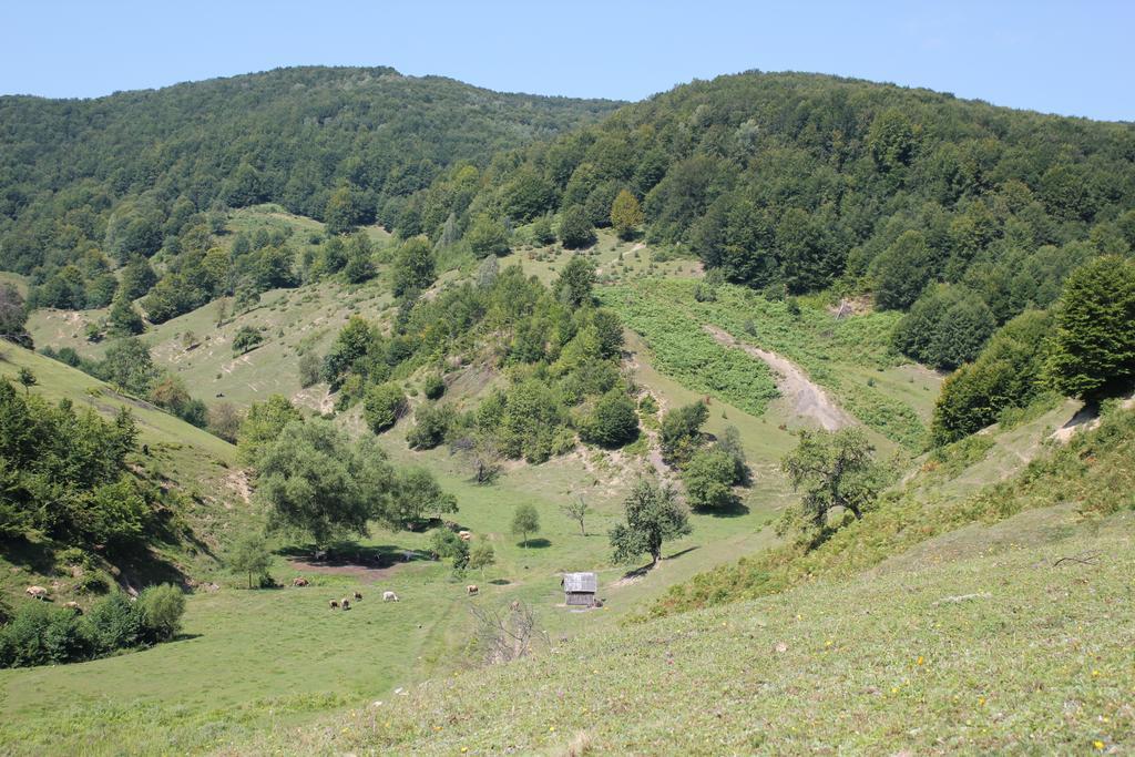 Svit Sontsya Tur'ya Polyana Exterior photo